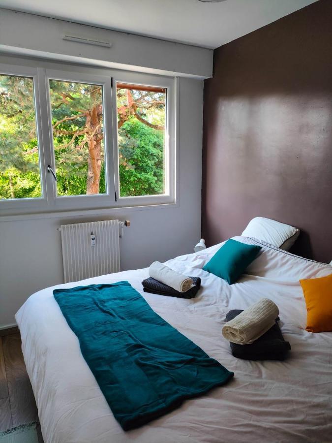 Chaleureux Appartement. דינאן מראה חיצוני תמונה